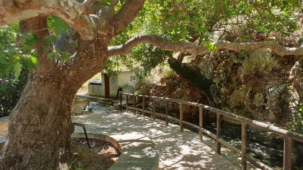 Sofia'S House Διαμέρισμα Káto Zákros Εξωτερικό φωτογραφία